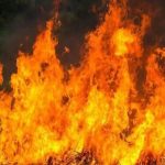 IMG_20251123_16393623IMG-20251123-WA0010