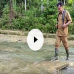 IMG_20251125_23360025Screenshot_2025-11-25-22-54-48-94_40deb401b9ffe8e1df2f1cc5ba480b12~3