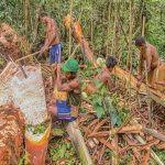 IMG_20251218_20413018IMG-20251218-WA0005