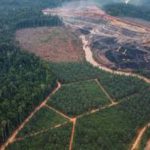 IMG_20251223_16513323images