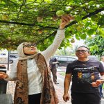 Panen Markisa Warnai Pertemuan Sekda Kepri dan PJS Jelang Rakernas di Batam IMG_20261025_134737